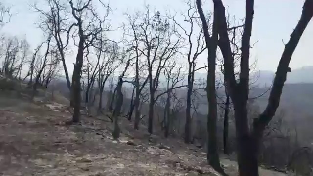 berryessa-fire-update-video