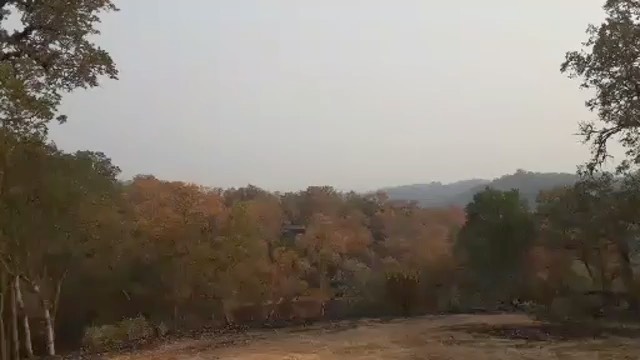 berryessa-highlands-fire-7